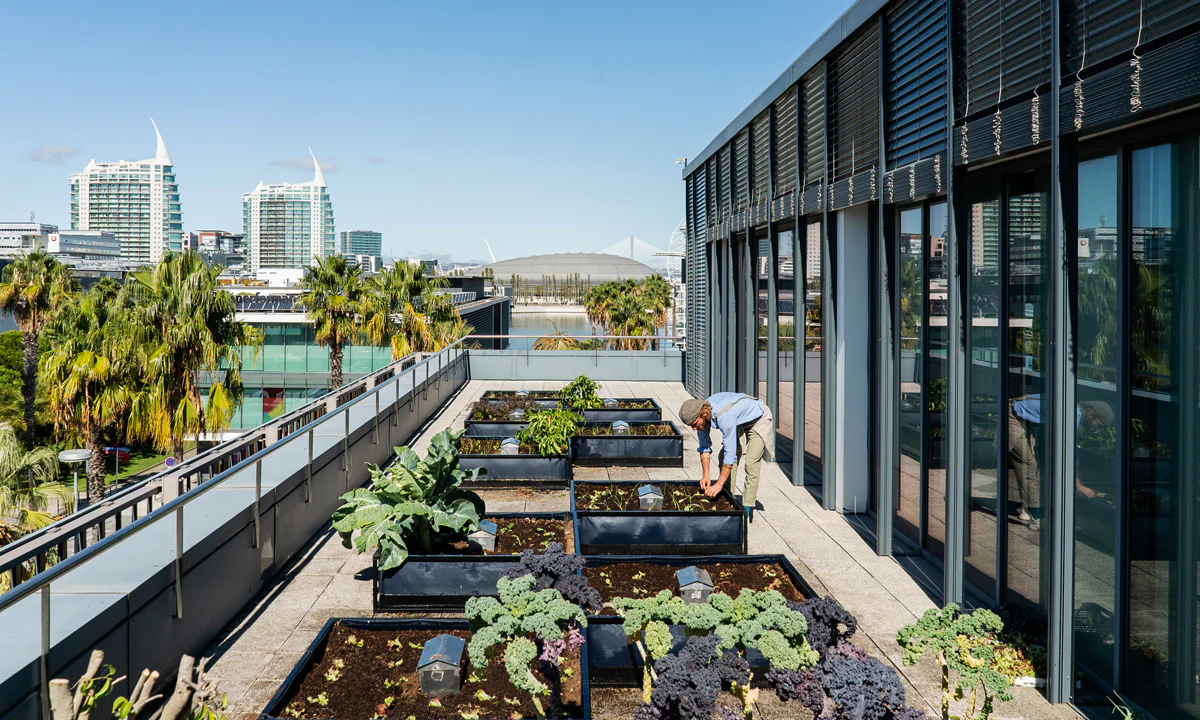 Corporate Gardening Services