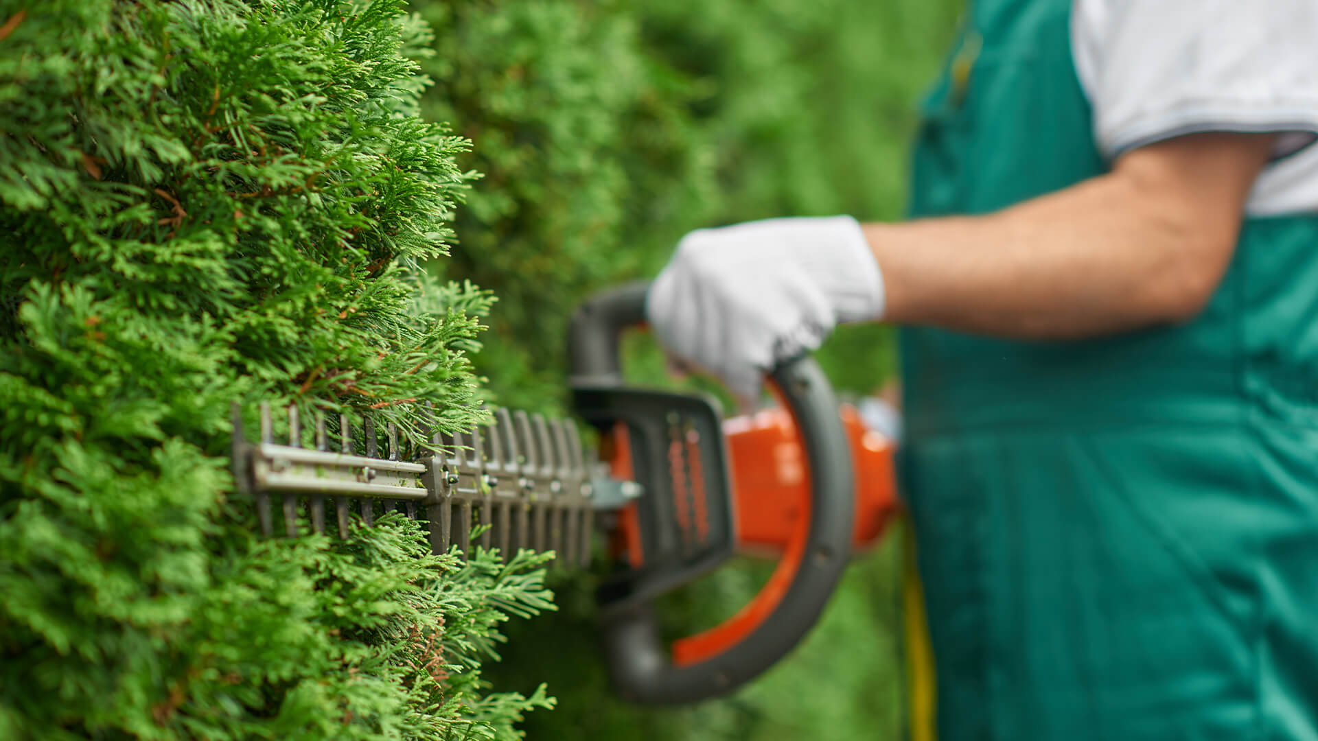 Gardening Services