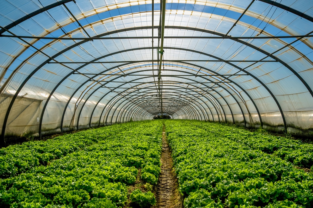 Horticulture Services